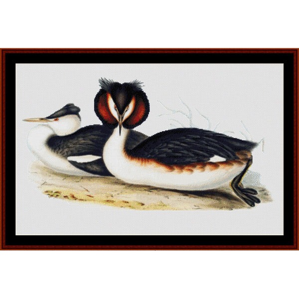 Counted Cross Stitch Pattern by Cross Stitch Collectibles of Two birds with distinctive head markings on a white background, framed in brown.