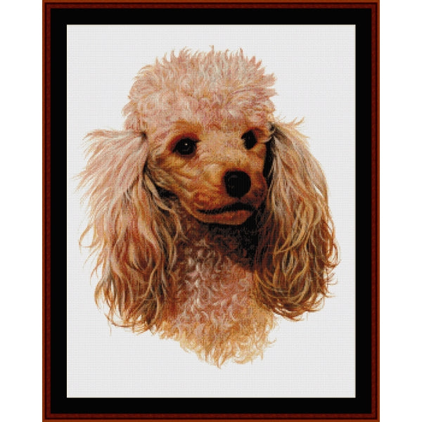 Counted Cross Stitch Pattern: Honey Poodle - Cross Stitch Collectibles