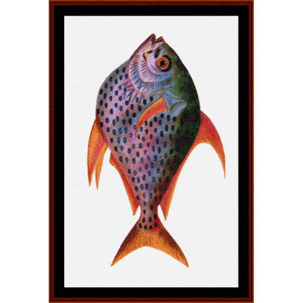 Counted Cross Stitch Pattern by Cross Stitch Collectibles of a colorful fish on a white background