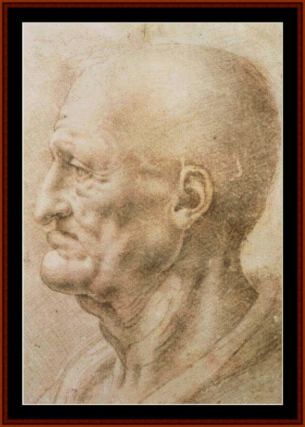 Portrait of an Old Man - Leonardo da Vinci pdf cross stitch pattern