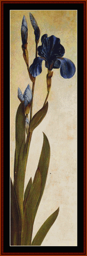 Iris Troiana - Albrecht Durer cross stitch pattern