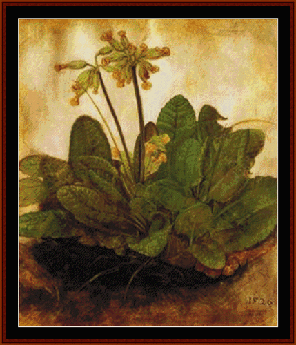 Primula, 1520 - Albrecht Durer pdf cross stitch pattern