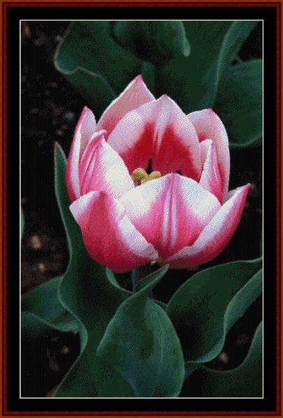 Tulip - Floral pdf cross stitch pattern