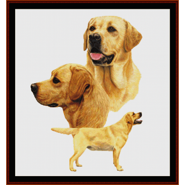 Labradors pdf cross stitch pattern