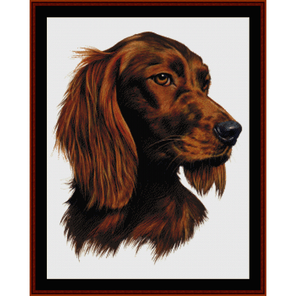 Irish Setter pdf cross stitch pattern