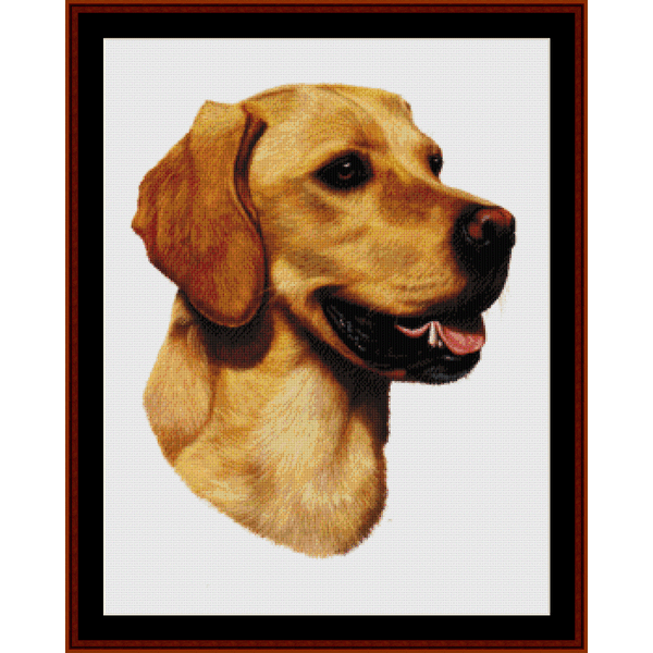 Yellow Labrador pdf cross stitch pattern