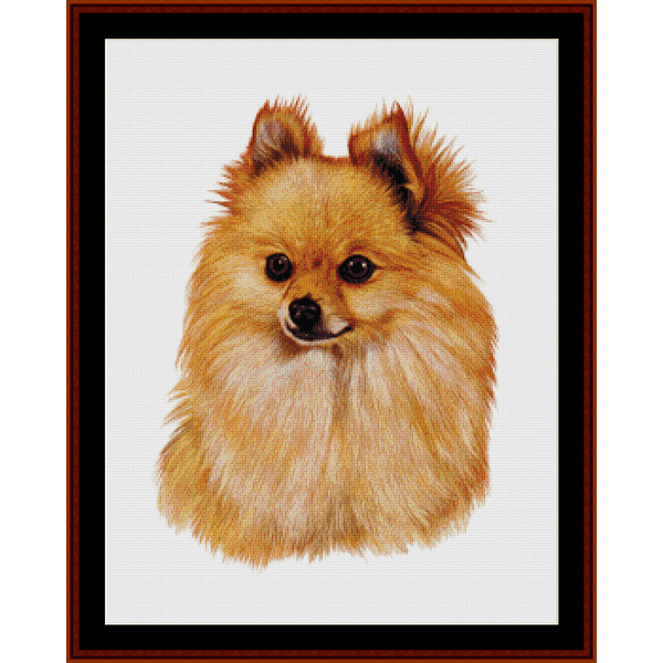 Pomeranian pdf cross stitch pattern