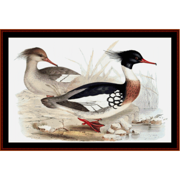 Red-Breasted Merganser cross stitch pattern