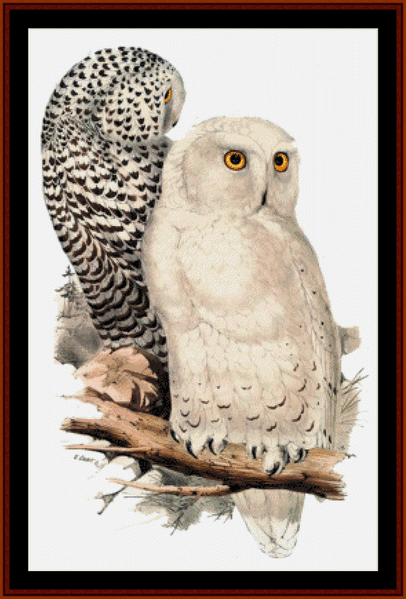 Snowy Owls - Wildlife pdf cross stitch pattern