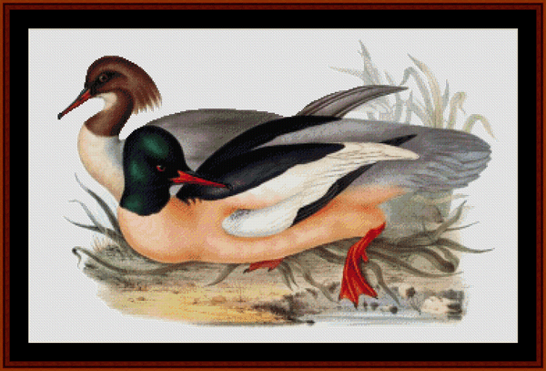 Goosander cross stitch pattern