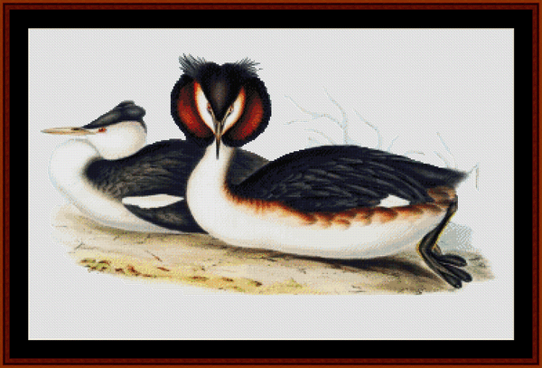 Great Crested Grebe - Wildlife pdf cross stitch pattern