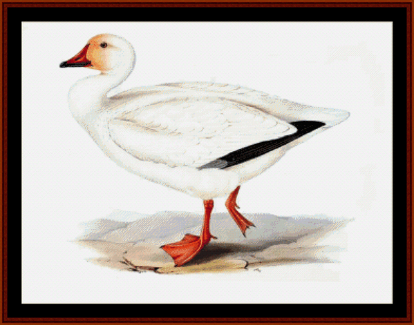 Snow Goose cross stitch pattern