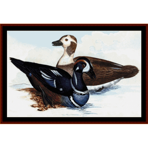 Harlequin Ducks - Wildlife pdf cross stitch pattern