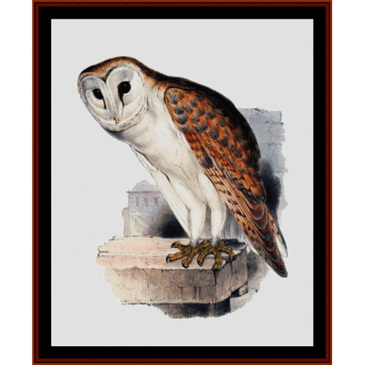 Counted Cross Stitch Pattern by Cross Stitch Collectibles depicting a barn owl perched on a structure, with a frame around the image.