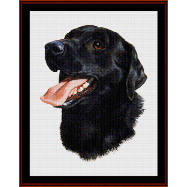 Counted Cross Stitch Pattern by Cross Stitch Collectibles depicting the head of a black Labrador dog with a frame for embroidery.