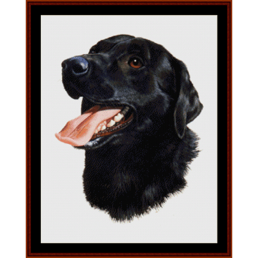 Counted Cross Stitch Pattern by Cross Stitch Collectibles depicting the head of a black Labrador dog with a frame for embroidery.