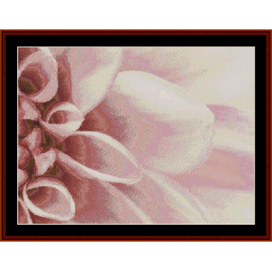 Counted Cross Stitch Pattern by Cross Stitch Collectibles of a Close-up of pink and white flowers with a blurred background