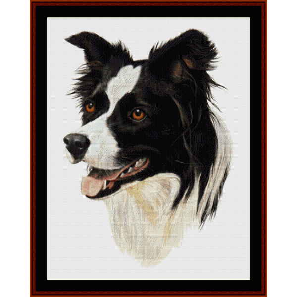 Counted Cross Stitch Pattern by Cross Stitch Collectibles depicting a black and white Border Collie's head.