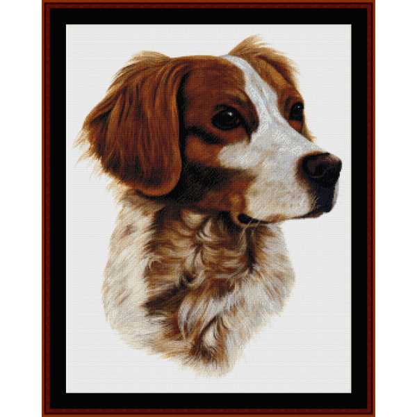 Counted Cross Stitch Pattern by Cross Stitch Collectibles depicting a realistic dog's head in brown, white, and beige colors.