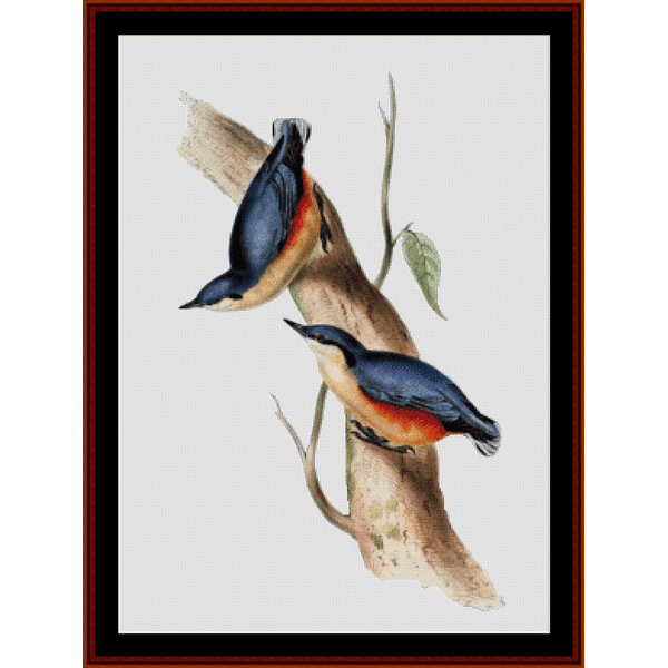 Counted Cross Stitch Pattern by Cross Stitch Collectibles depicting two colorful birds perched on a branch