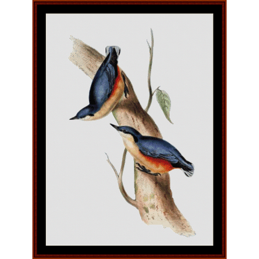 Counted Cross Stitch Pattern by Cross Stitch Collectibles depicting two colorful birds perched on a branch
