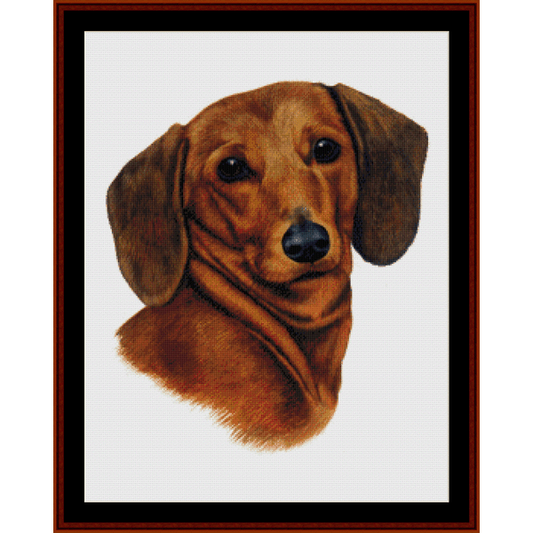 Counted Cross Stitch Pattern by Cross Stitch Collectibles depicting a dachshund