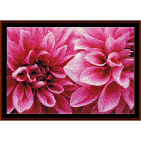 Counted Cross Stitch Pattern by Cross Stitch Collectibles of two pink dahlia flowers with closed petals
