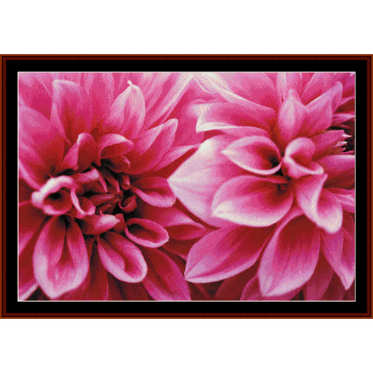 Counted Cross Stitch Pattern by Cross Stitch Collectibles of two pink dahlia flowers with closed petals