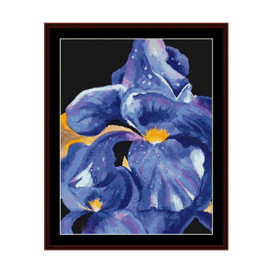 Counted Cross Stitch Pattern by Cross Stitch Collectibles of an artistic floral design featuring purple and blue colors with a black background.