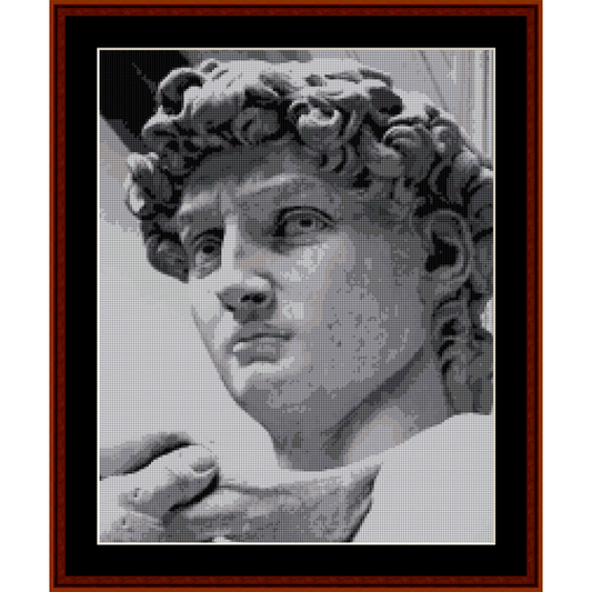 Counted Cross Stitch Pattern by Cross Stitch Collectibles depicting a portrait of Miichelangelo's David
