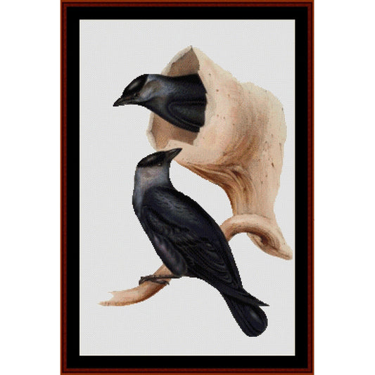 Counted Cross Stitch Pattern by Cross Stitch Collectibles of two black birds perched on a branch, framed in brown.