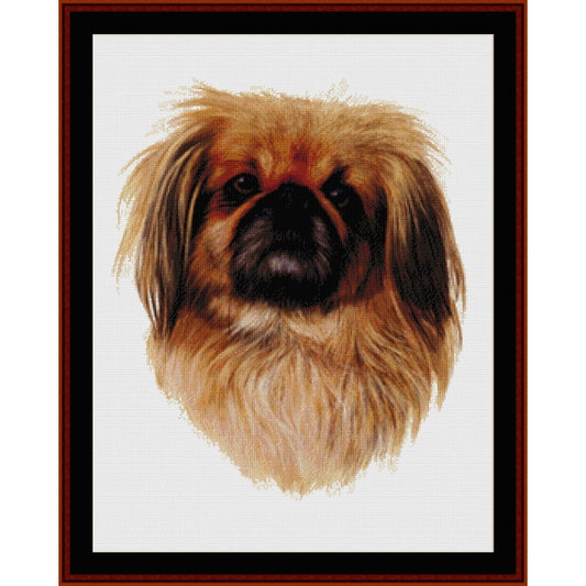 Counted Cross Stitch Pattern: Pekingese - Cross Stitch Collectibles - A framed cross-stitch portrait of a Pekingese dog, featuring a white background, detailed tan, brown, and black fur
