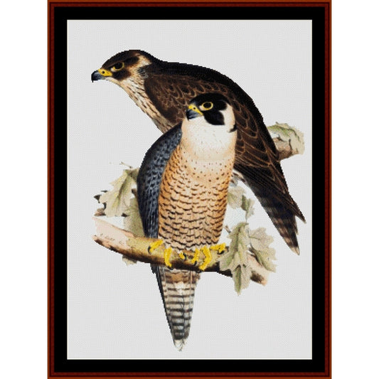 Counted Cross Stitch Pattern: Peregrine Falcon, Wildlife - Cross Stitch Collectibles - A framed bird art print showing two peregrine falcons perched on branches against a light background