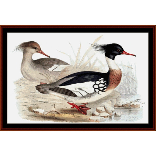 Counted Cross Stitch Pattern – Red-Breasted Merganser - Cross Stitch Collectibles - A framed natural-history style duck illustration showing two ducks on a pale background