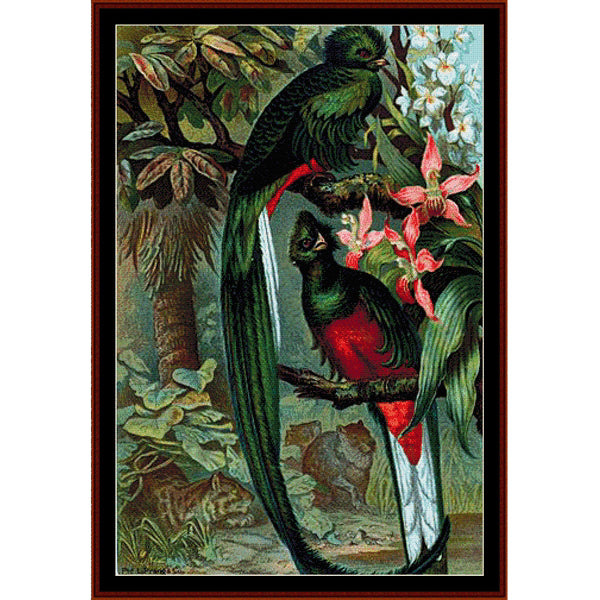 Counted Cross Stitch Pattern – Replendent Trogon - Cross Stitch Collectibles - A framed vintage-style bird illustration featuring two long-tailed tropical birds perched among green foliage and pink flowers