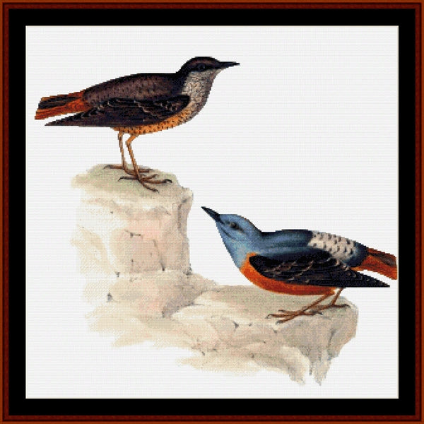 Counted Cross Stitch Pattern – Rock Thrush, Wildlife - Cross Stitch Collectibles -A framed bird illustration featuring two small birds perched on pale rock forms against a white background