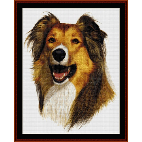 Counted Cross Stitch Pattern – Rough Collie - Cross Stitch Collectibles - A framed cross-stitch or needlepoint portrait of a collie dog head on a white fabric background