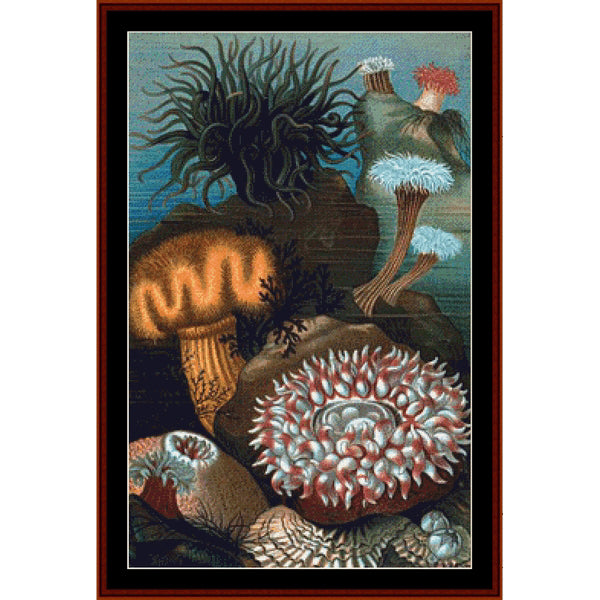 Counted Cross Stitch Pattern – Sea Anemones - Cross Stitch Collectibles - A framed vintage-style artwork depicting an underwater scene with sea anemones, coral-like polyps, and rocky forms in muted blue, brown, orange, pink, and white tones.
