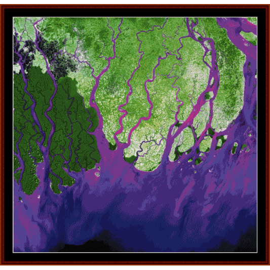 Ganges River Delta - Earth as Art cross stitch pattern