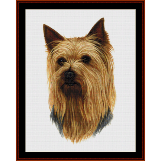 Yorkshire Terrier - Robt. J. May cross stitch pattern