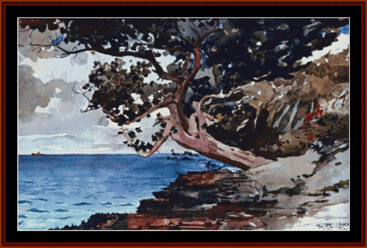 North Road, Bermuda – Winslow Homer pdf cross stitch pattern