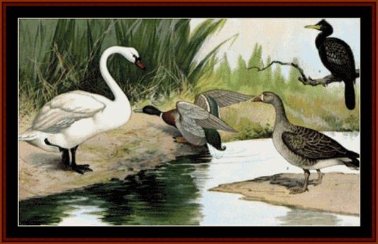 Water Birds pdf cross stitch pattern