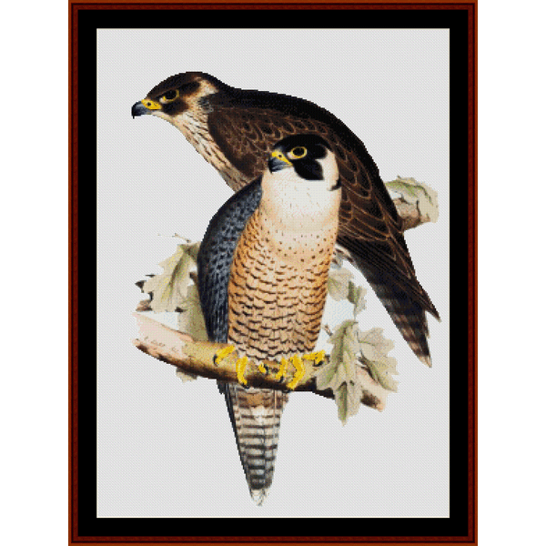Peregrine Falcon - Wildlife cross stitch pattern