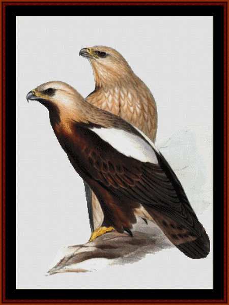 Imperial Eagle - Wildlife cross stitch pattern