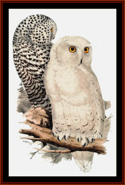 Snowy Owls cross stitch pattern