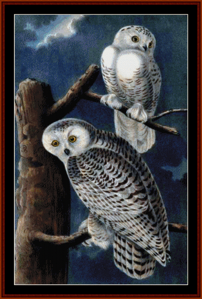 Snowy Owls II pdf cross stitch pattern