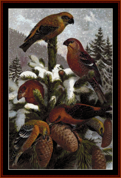 Crossbills pdf cross stitch pattern