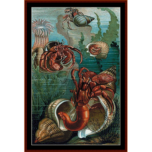 Hermit Crabs pdf cross stitch pattern