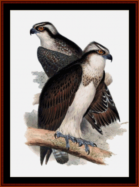 Ospreys pdf cross stitch pattern