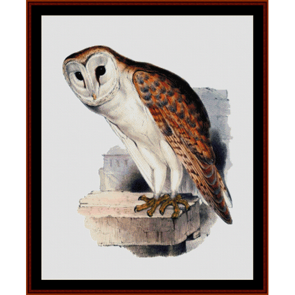 Barn Owl - Wildlife pdf cross stitch pattern
